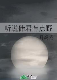 听说储君有点野